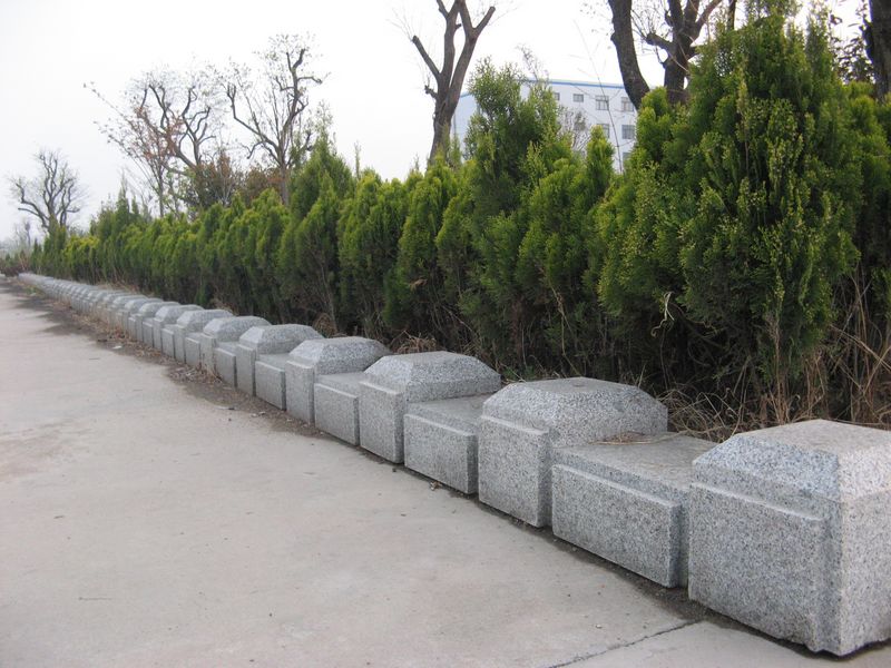 ����ʯ�ďS